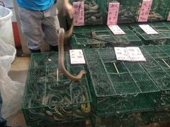 -荔城生鲜盛宴(番禺旗舰店)