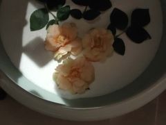 -Dragonfly 悠庭·按摩Spa(苏州中心广场店)