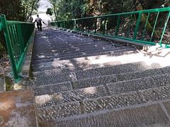-云南屏边大围山国家公园