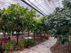 -歌斐颂巧克力小镇