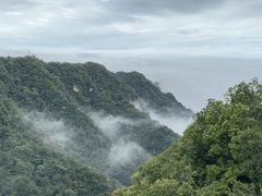 -少华山国家森林公园