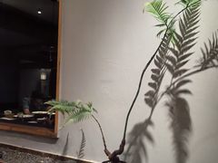 -宴武夷·匠心闽味(印象大红袍店)
