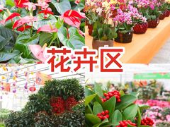 -长春农博园