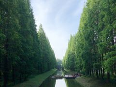 -黄海国家森林公园