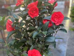 -去吃小龙虾·江湖菜·烧烤(南滨路店)