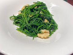 果仁爱沙葱-九十九顶毡房(阜石路店)