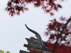 -苏州文庙(姑苏区)