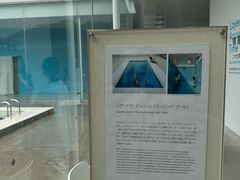 -金泽21世纪美术馆