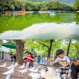 十一出游，淮北这些免费宝藏景点你都去过吗？