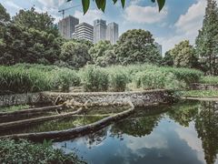 -成都市活水公园