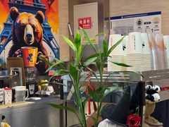-NOVAE CAFE 咖啡·可颂(望京店)