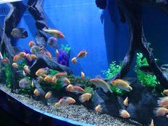 -石林冰雪海洋世界