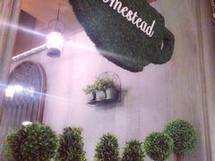 Homestead&nbsp;Coffee(湖滨店)-MEET COFFEE婉约咖啡(宝善公寓店)