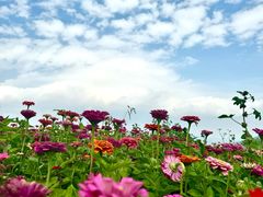 -太舞滑雪小镇