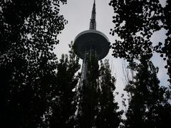 -龙塔