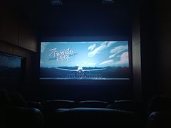 -华美国际影城(旧宫永辉店)