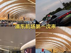 -上海浦东国际机场-T2航站楼