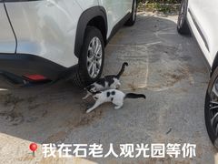 -石老人观光园