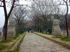 -甘棠公园