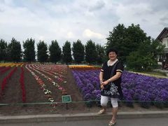 -富田农场