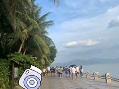 -深圳湾公园(南山区)