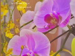 -广州白云国际机场-T2航站楼