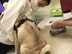 -美联众合动物医院·24h京西诊疗中心
