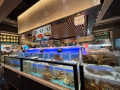-同庆楼(滨湖万达广场店)