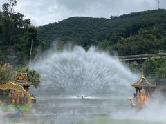 -西双版纳原始森林公园