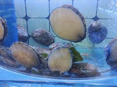 -日照大牌檔•小船海鲜(万平口店)