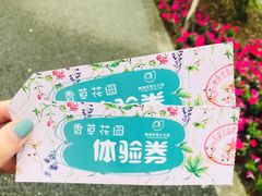 -鹅湖玫瑰文化园