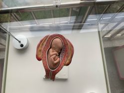 -重庆市妇幼保健院(冉家坝院区)