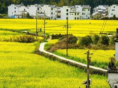 -音乐广场