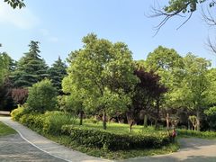 -黄兴公园