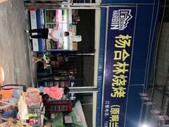 -杨合林啊兰烤鱼