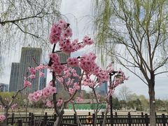-西海子公园