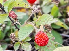 -南京市无想山景区