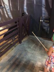 -酷嗒动物文化乐园(cutezoo西溪乐天城店)