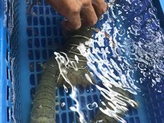 -班赞海鲜市场