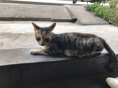 -苹果华为手机维修换屏