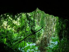 -海口火山口国家地质公园