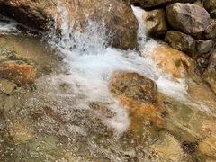 -南海湾森林生态园