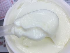 双皮奶-义顺牛奶公司