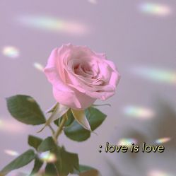 -Oasis Beauty水磨坊科技美肤中心