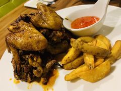 -百好乐宠物友好餐厅(朝外大街店)