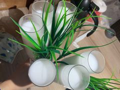 鲜榨椰子汁-探窝·竹笙椰子鸡(杨箕店)