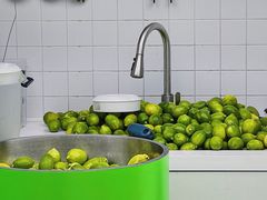 新鲜柠檬-introlemons(北京西单更新场店)