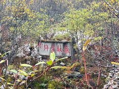-海螺沟风景区