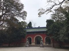 -灵谷景区