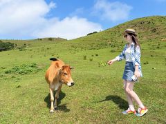 -大姆山草场